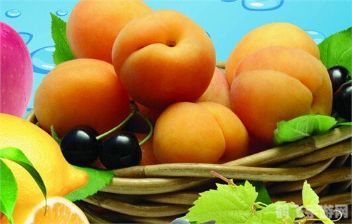 不知火是我们常吃的哪种水果的学名,揭秘不知火——你常吃的这种水果学名竟如此诗意