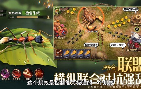 bt-蚂蚁,BT蚂蚁手游攻略：打造最强蚂蚁帝国的秘诀！