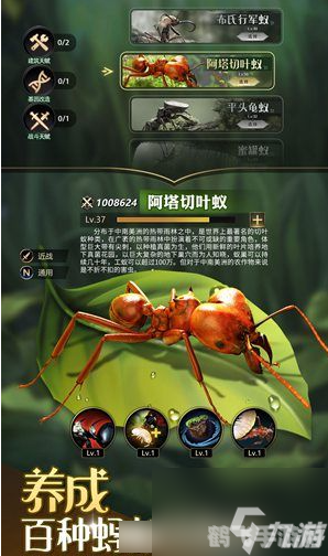 bt-蚂蚁,BT蚂蚁手游攻略:打造最强蚂蚁帝国的秘诀!