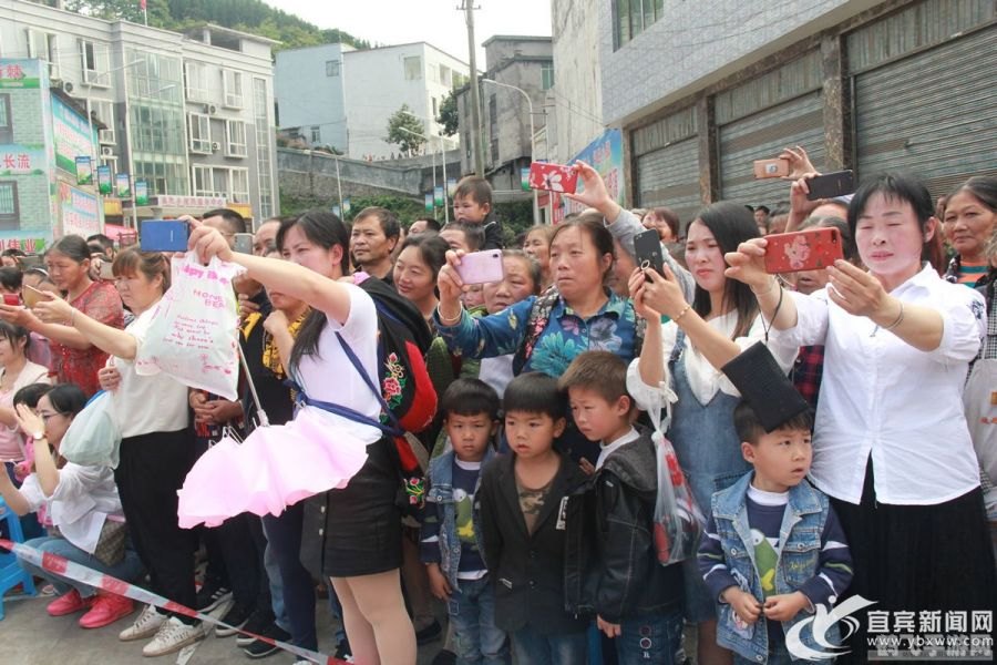 口袋妖怪3d,口袋妖怪3D全新探险,揭秘妖怪世界的奥秘!