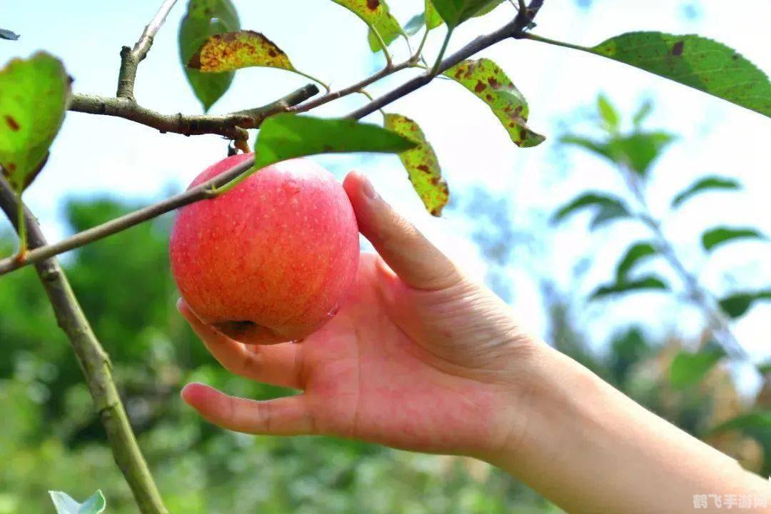 早春苹果挨一刀蚂蚁庄园,早春苹果挨一刀蚂蚁庄园——玩转手游,轻松收获甜蜜果实