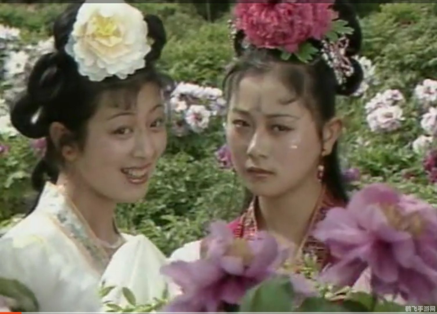 攻略小花仙月亮花：探秘神秘花园，解锁月光之力！