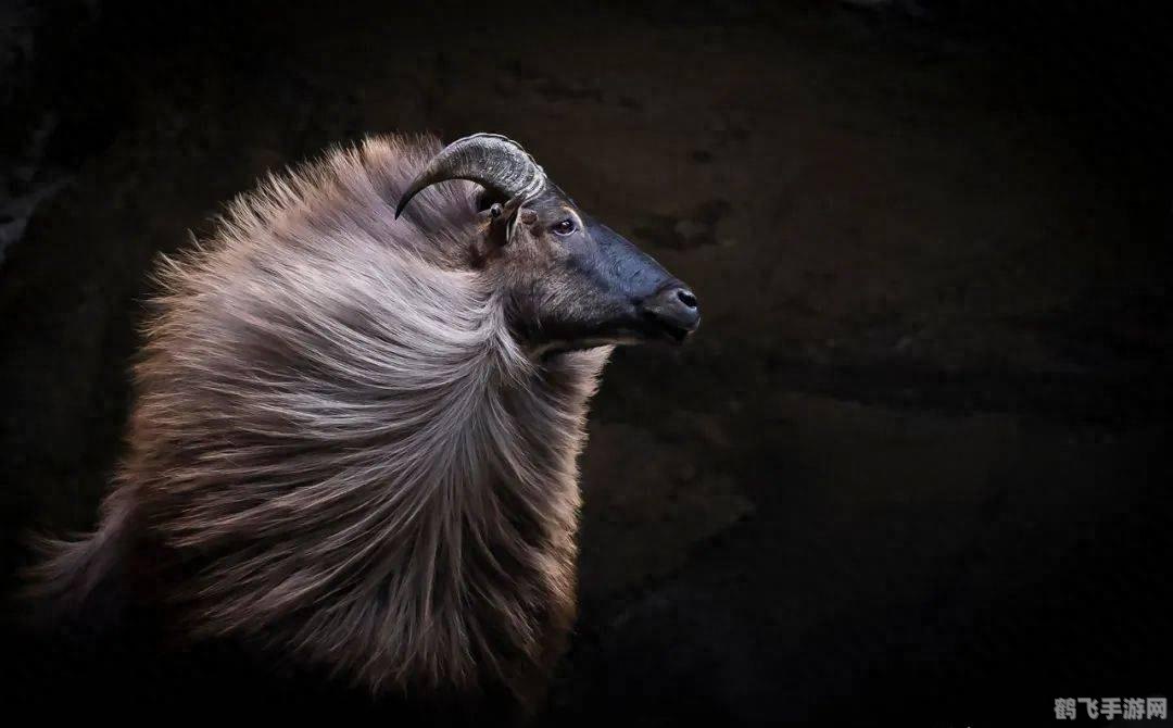 红色警戒之共和国之辉,红色警戒之共和国之辉：手游攻略大全，制霸战场无往不胜