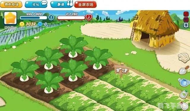 农场升级秘籍:种植这些作物,快速升级不是梦!