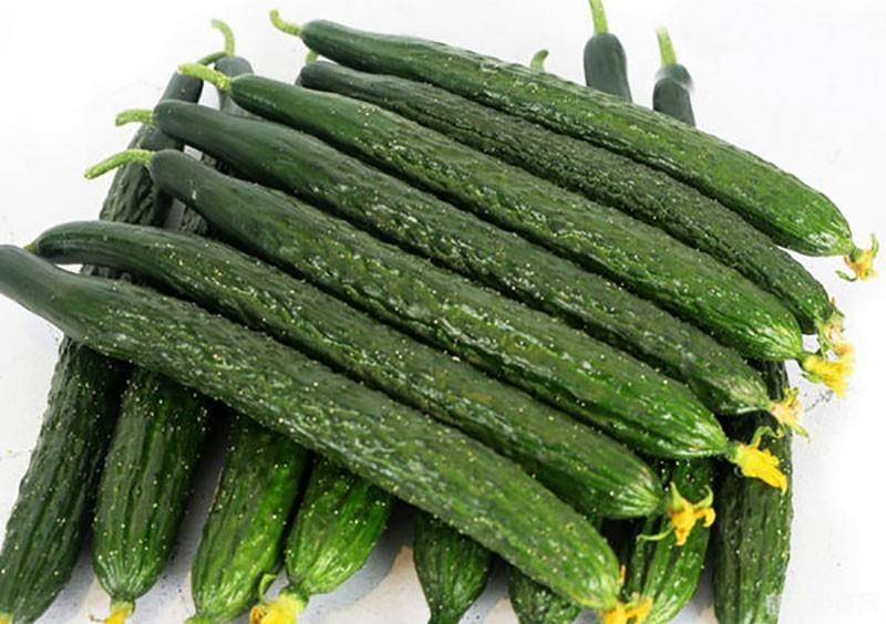 探秘黄瓜之旅：西域传来的美味佳肴