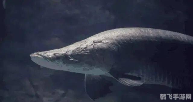 恐怖食人鱼,恐怖食人鱼攻略:称霸水域,成为无敌食人鱼!