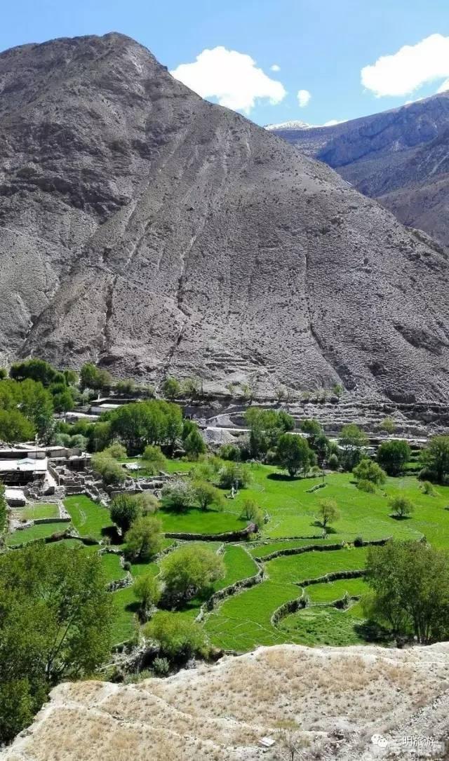 雪山兄弟3,雪山兄弟3冒险攻略,勇闯雪山,挑战极限!