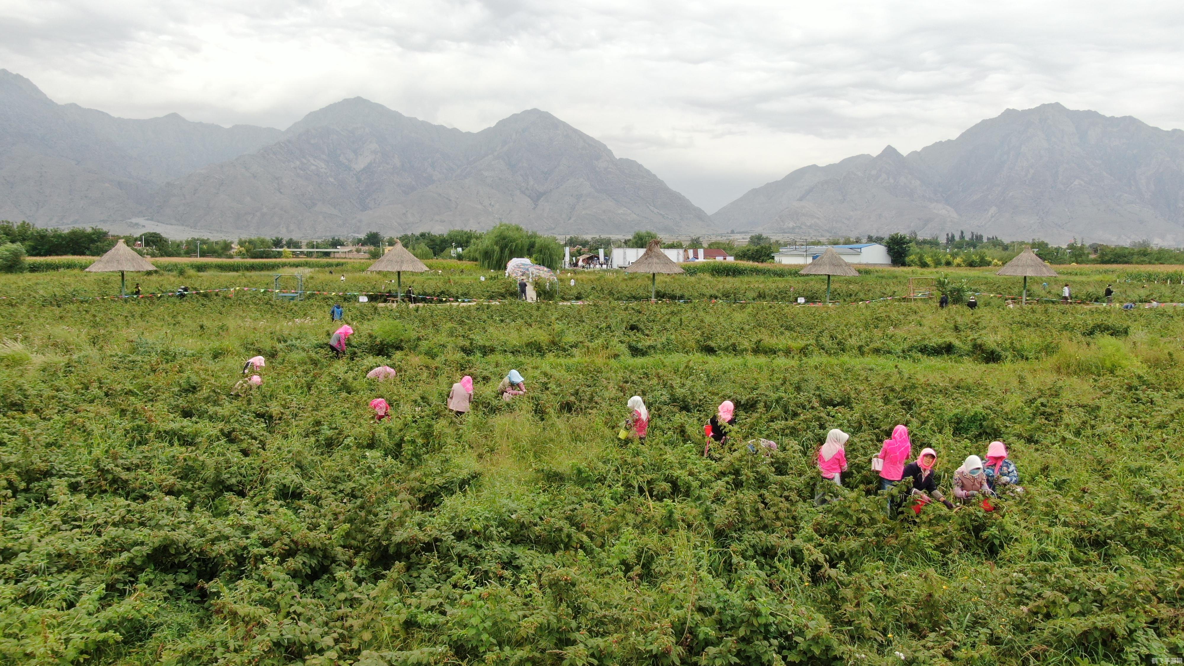 2013版QQ游戏平台,畅享经典,探索无限游戏世界