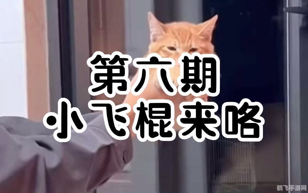 小飞棍来喽什么梗,小飞棍来喽!手游中的趣味投喂玩法攻略