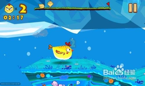 小鸡快跑游戏攻略与资讯