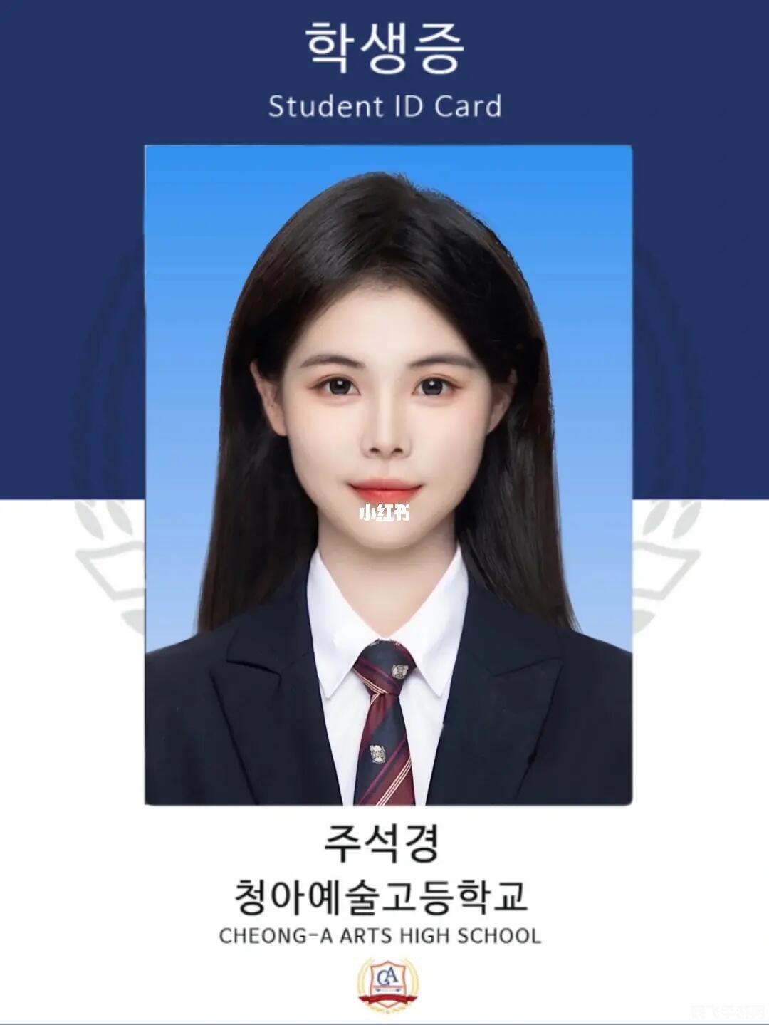 韩国证件照素材,探索韩国风情,手游韩国证件照玩法全攻略