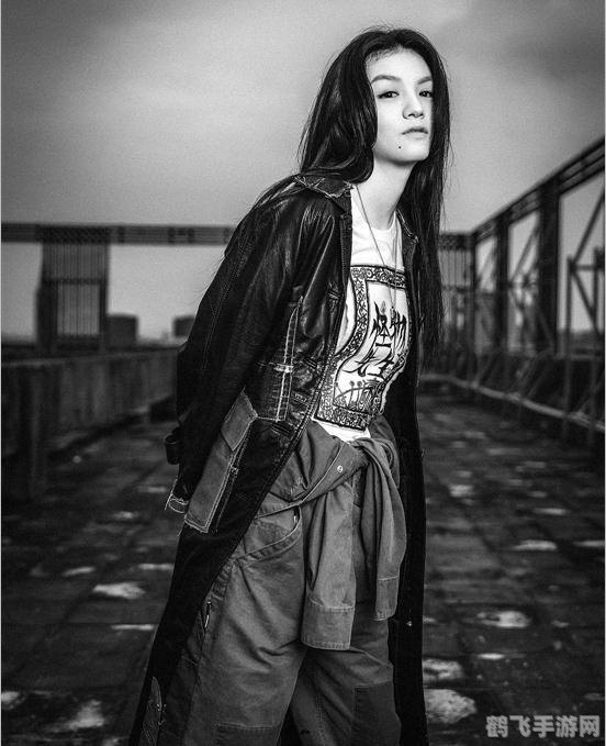 西方世界的劫难,西方世界的劫难手游攻略，勇闯奇幻大陆