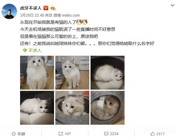 屠书酒挑战谁先喝?策略大揭秘!