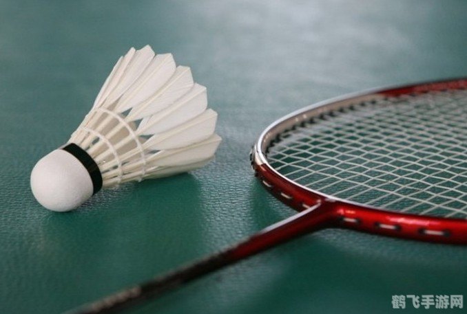 羽毛球大多是什么羽毛制成的,羽毛球的制造奥秘,揭秘羽毛球的羽毛来源