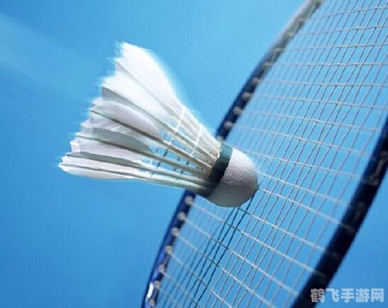 羽毛球大多是什么羽毛制成的,羽毛球的制造奥秘,揭秘羽毛球的羽毛来源