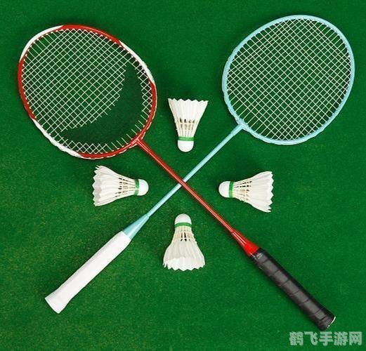 羽毛球大多是什么羽毛制成的,羽毛球的制造奥秘,揭秘羽毛球的羽毛来源