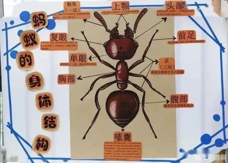 下列哪种食用荸荠蚂蚁庄园,探索荸荠的食用奥秘,蚂蚁庄园里的健康之选