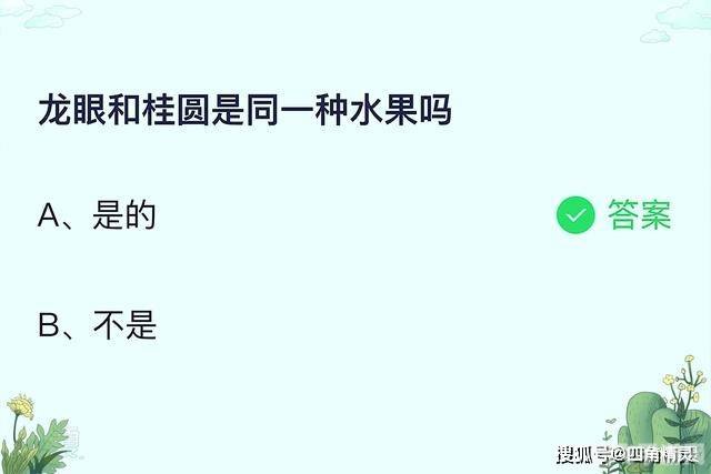 龙眼和桂圆蚂蚁庄园,龙眼与桂圆蚂蚁庄园手游攻略,打造你的繁荣庄园