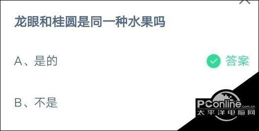 龙眼和桂圆蚂蚁庄园,龙眼与桂圆蚂蚁庄园手游攻略,打造你的繁荣庄园