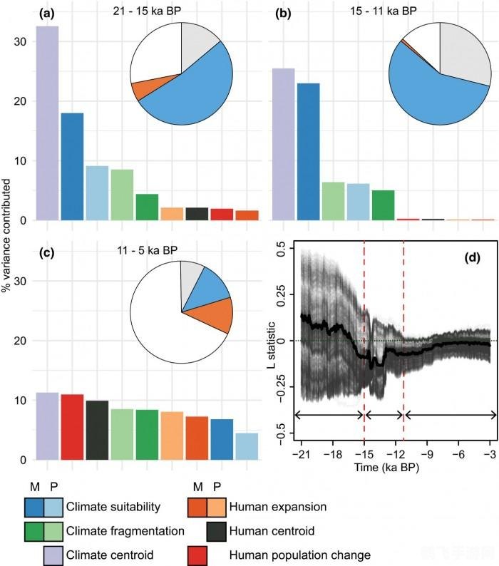 上周的猛犸肉游戏攻略与资讯