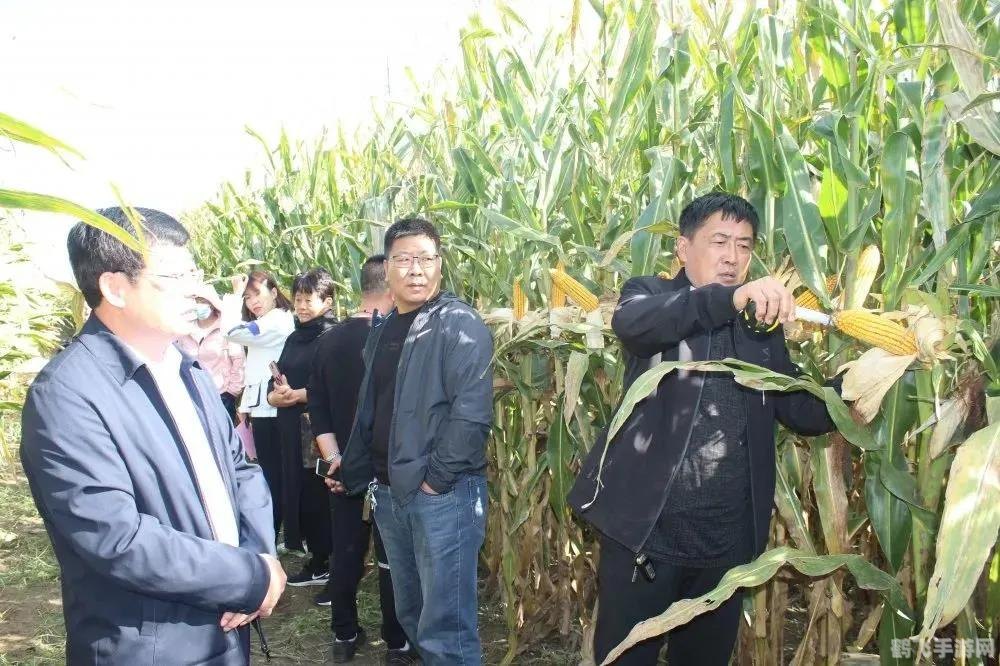 qq牧场升级,QQ牧场升级宝典,打造你的繁荣牧场