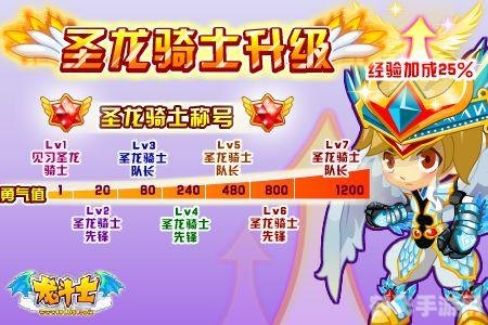 圣域龙斗士,圣域龙斗士探秘,成为顶级龙斗士的攻略指南