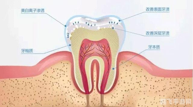 蚂蚁庄园洗牙科普,洗牙不会洗掉牙釉质