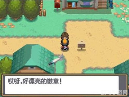 口袋妖怪心灵之金,口袋妖怪心灵之金深度玩法与攻略指南