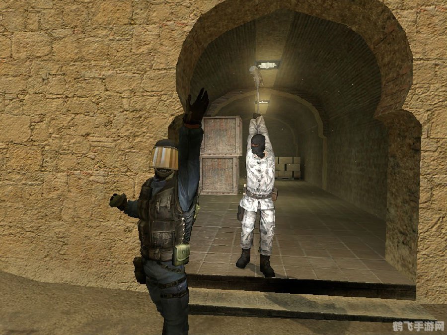 反恐精英，起源V71版本全面解析与攻略