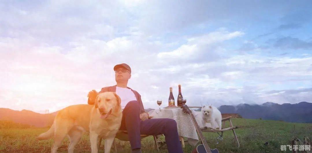 逃离房间2手游攻略，智者的非电子冒险