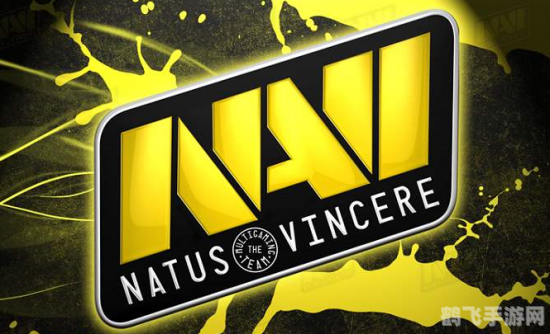 navi战队,手游大师攻略,NAVI战队带你玩转竞技手游