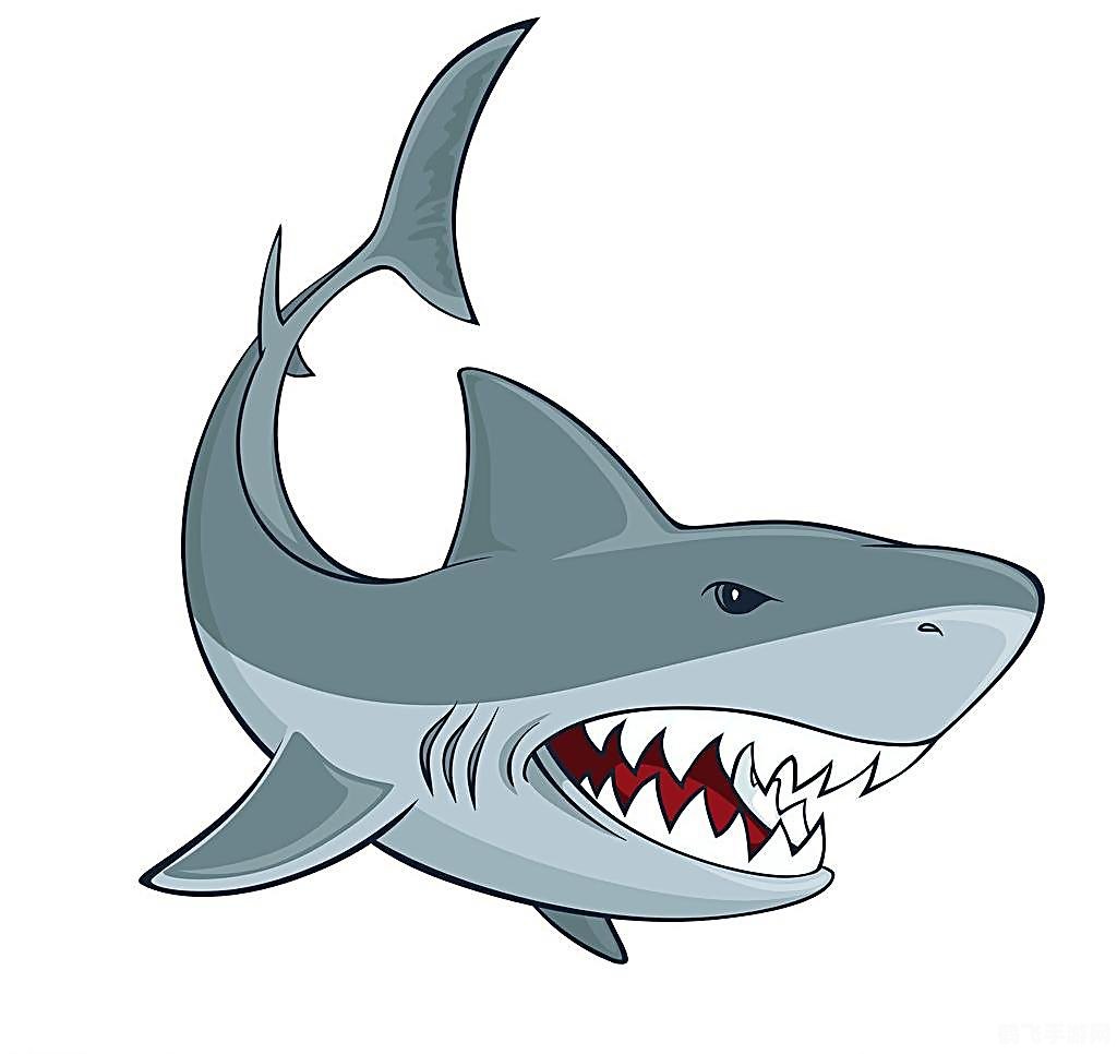 鲨鱼