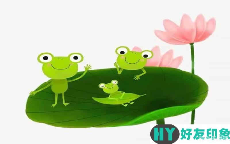 夏日荷塘的交响乐,揭秘青蛙呱呱叫的秘密