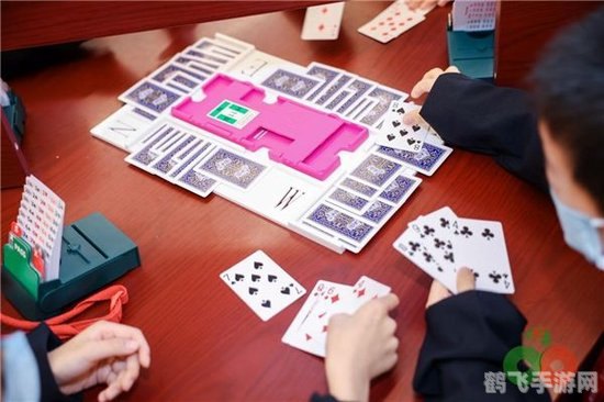 探索精彩打牌游戏，尽享策略与智慧的较量