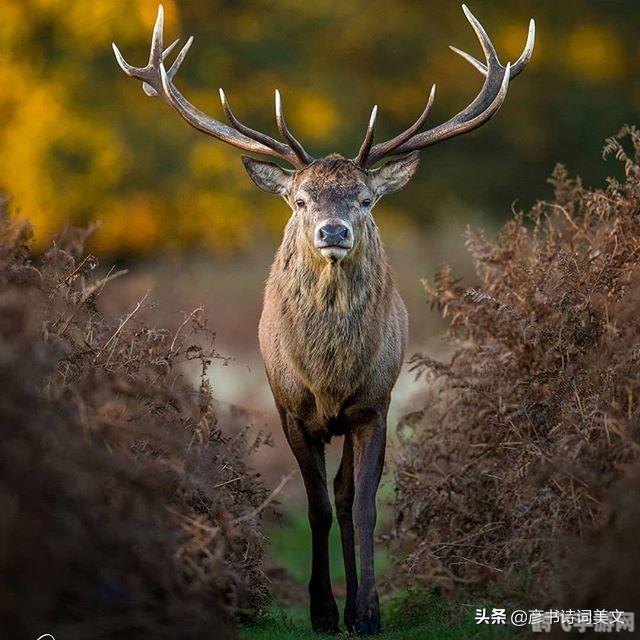 永恒的七日之都，探索都市幻想，揭秘七日轮回