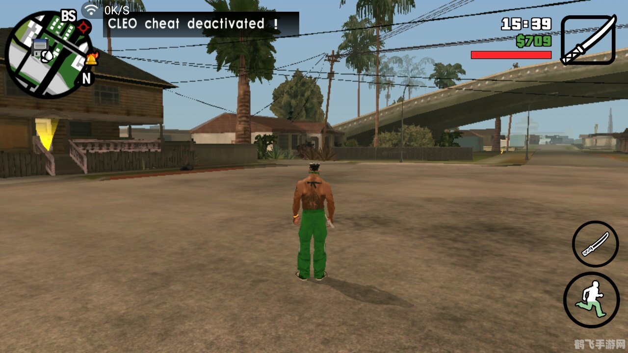 Cleo合集手游攻略,掌握这些技巧,轻松成为游戏高手