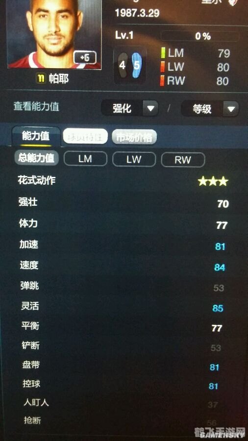 FIFA13妖人探秘,打造你的足球梦之队