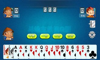 网上斗地主,高手进阶攻略与玩法解析