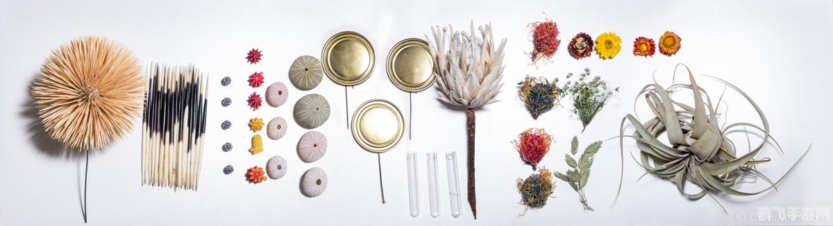 仙人掌妖怪手游攻略，如何成为仙人掌妖怪大师