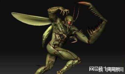 揭秘螳螂妖的神秘动机,一场妖与人的较量