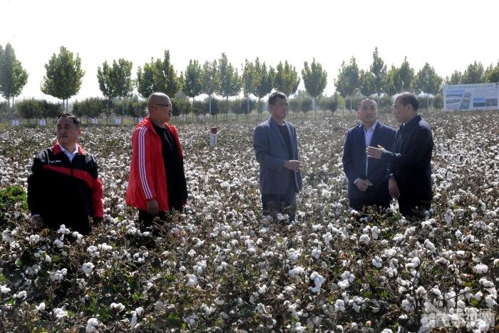 冒险岛雪人谷,冒险岛雪人谷，冰雪冒险新篇章