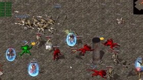 新开玫瑰传奇,新开玫瑰传奇探秘,玫瑰花园中的冒险之旅