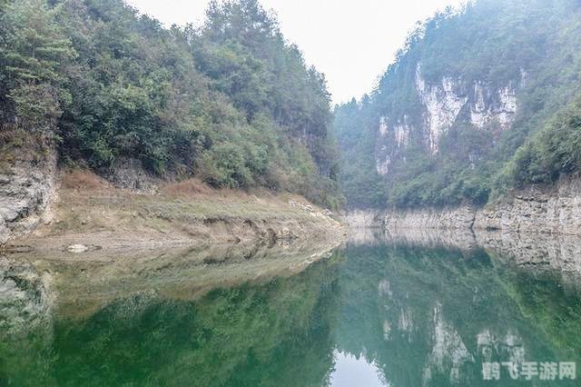 塞尔达传说王国之泪开启预购,塞尔达传说,王国之泪火热预购开启,探险之旅即将启航!