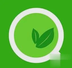 绿叶浏览器,绿叶浏览器助力手游体验,玩转热门手游的攻略与技巧