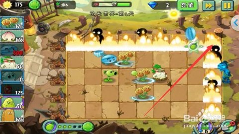 火爆辣椒僵尸,火爆辣椒僵尸手游攻略,燃烧你的战斗激情!