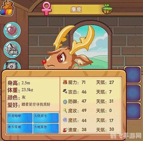 洛克王国火烧眉毛,洛克王国新挑战,火烧眉毛大冒险