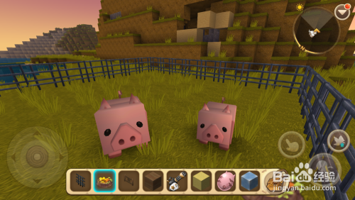 乖乖猪世界加点,乖乖猪世界手游加点攻略，打造你的最强猪猪战队