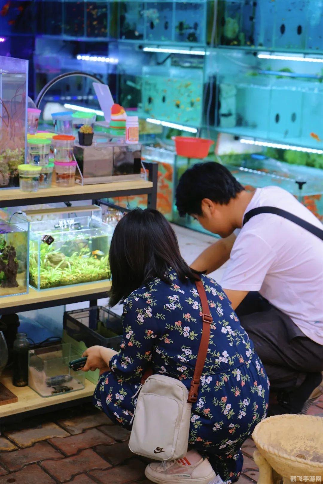 天龙八部手游种花玩法全攻略,打造绚丽花园,助力江湖之旅