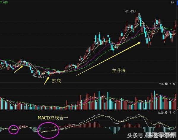 toc攻略,TOC攻略,手游大师之路
