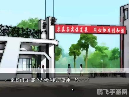 恒水中学连环虐杀攻略,恒水中学,连环虐杀攻略——生存之道